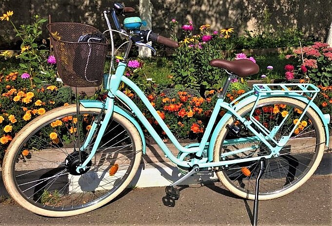 Электровелосипед из бензопилы: необычные доноры для DIY