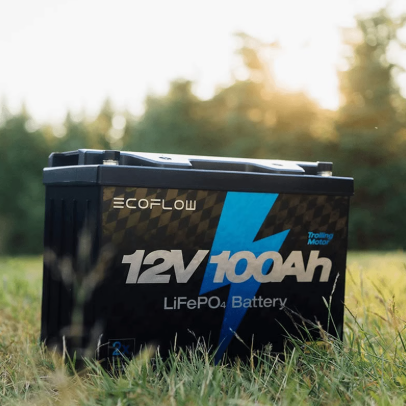 Тяговый аккумулятор LiFePO4 12В 100А*ч (в корпусе) с ЗУ ECOFLOW